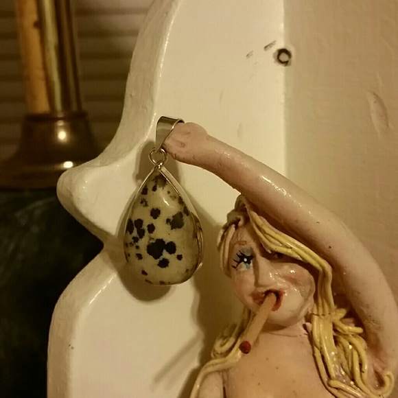 Jewelry - NEW Dalmatian Jasper NECKLACE